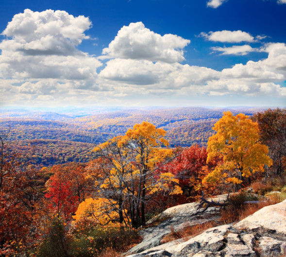 view from Overlook Mtn Woodstock,NY